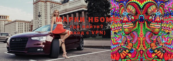прущие грибы Баксан