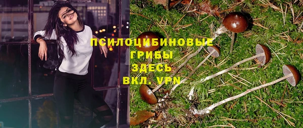 тгк Аркадак