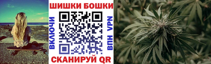 Канабис план  Купить  Сланцы 